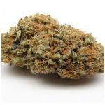 Шишки AK47 (Гидропоника, Бошка) VHQ в Семилуках Шишки AK47 (Гидропоника, Бошка) VHQ в Семилуках